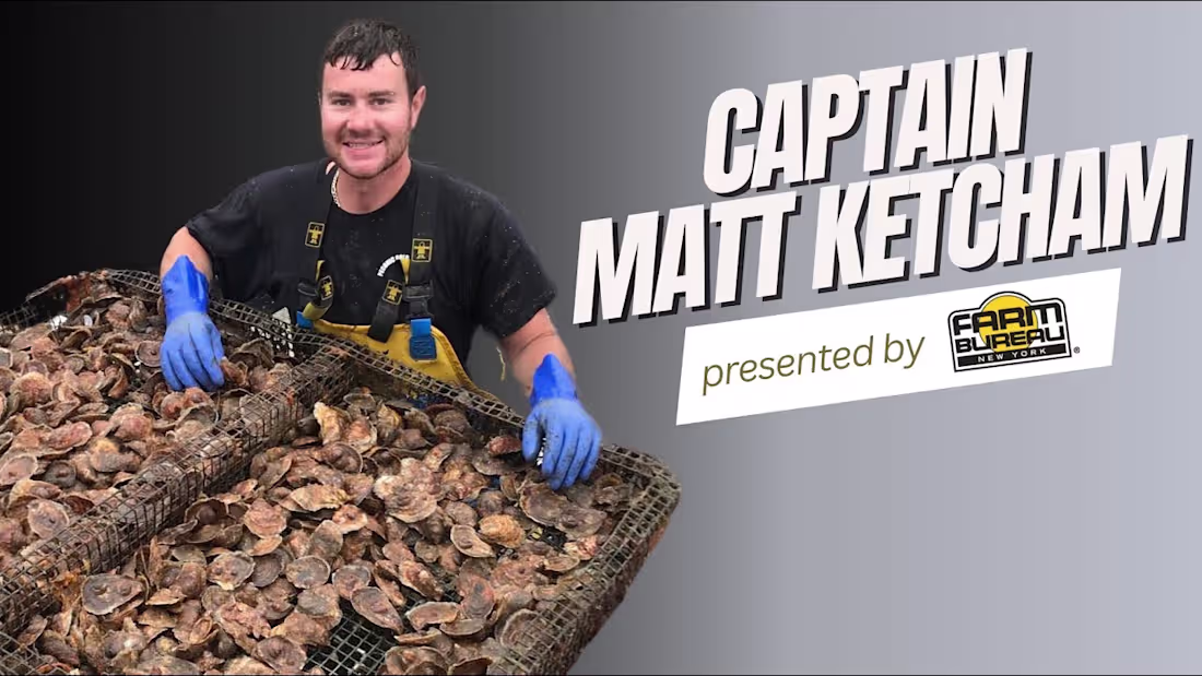 Cover image for Peconic Gold Oysters