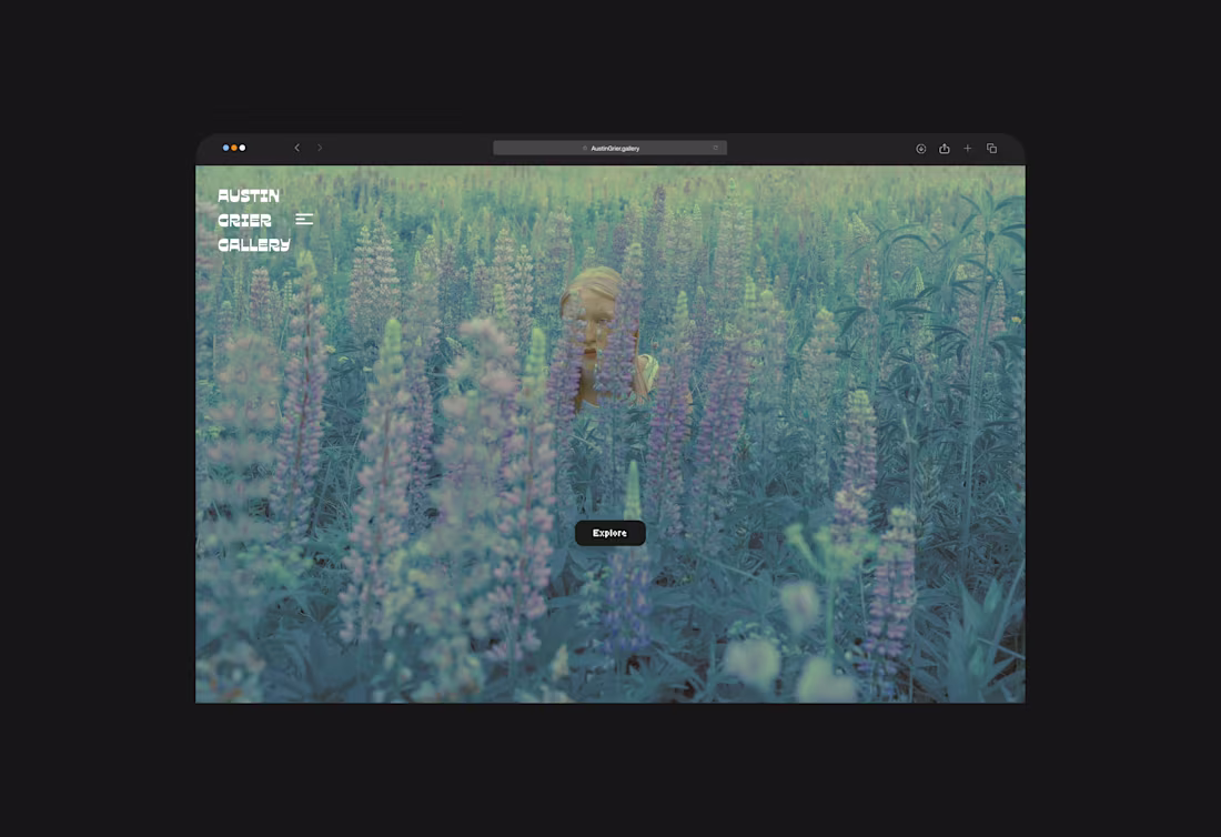 Cover image for Austin Grier Gallery Digital Art Website