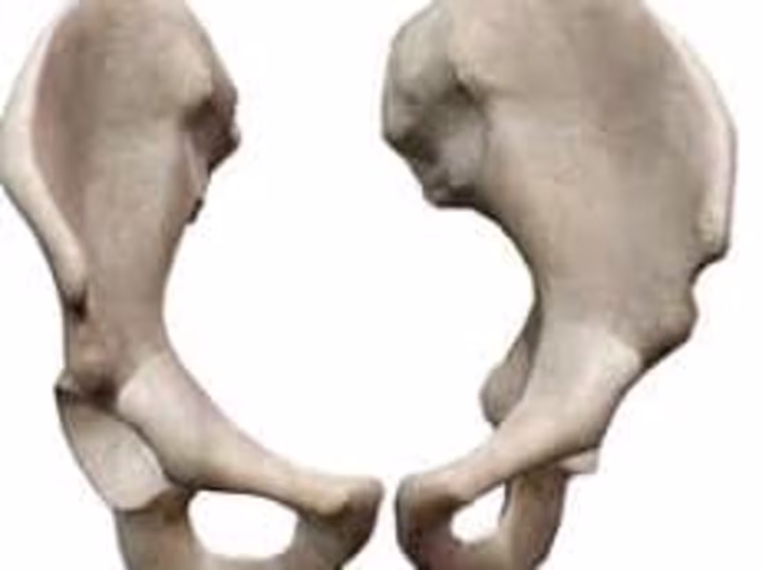 Cover image for BONES - MosiPhysio