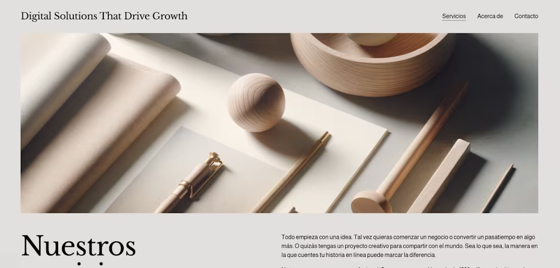 Cover image for Professional service website focused on