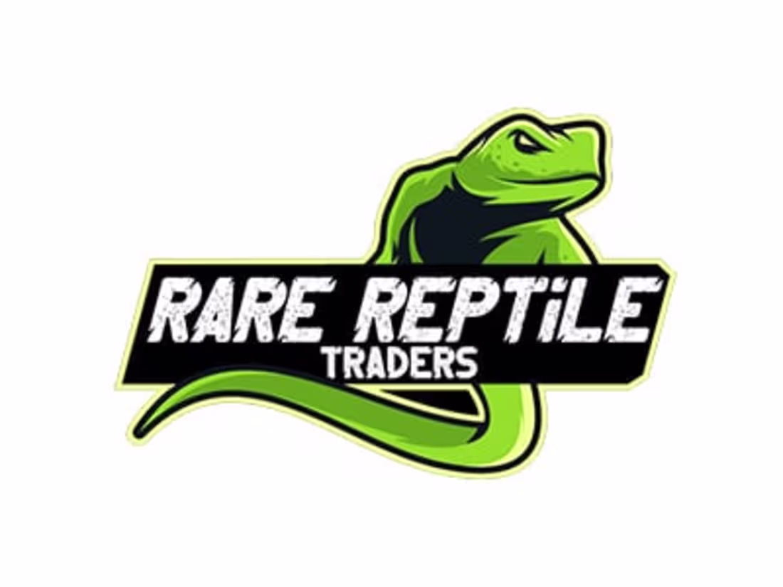 Cover image for Creating Stunning Logo Designs for Brand Identity