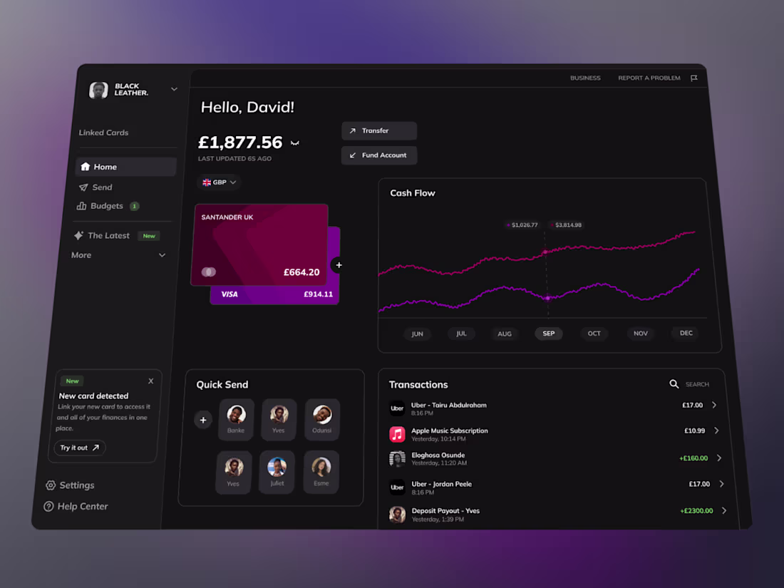 Cover image for Black Leather: A Fintech Platform Exploration