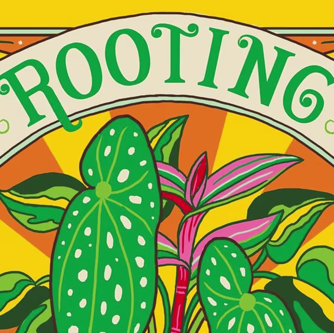 Cover image for Rooting For You / Illustration and Lettering