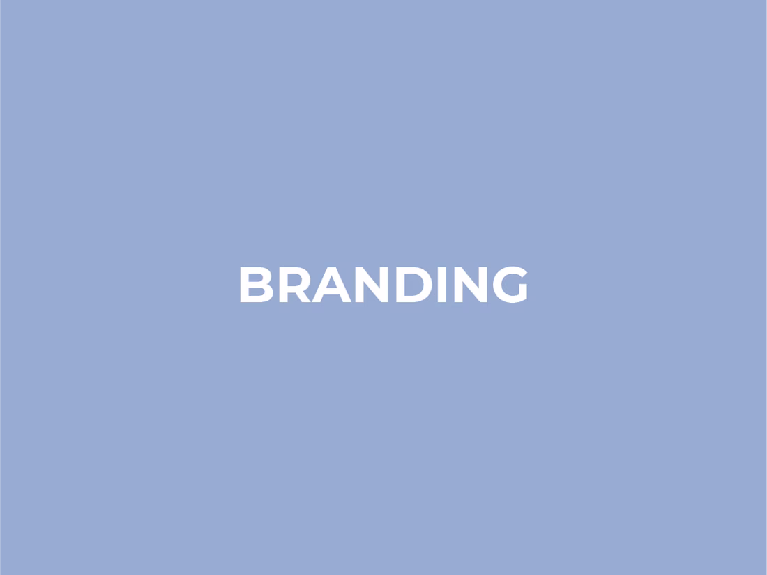 Cover image for Branding & Visual Identity