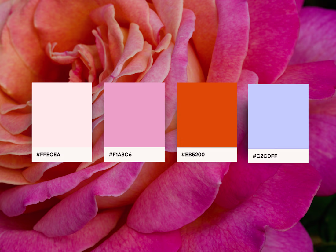 Cover image for Petal Pop Color Palette Design