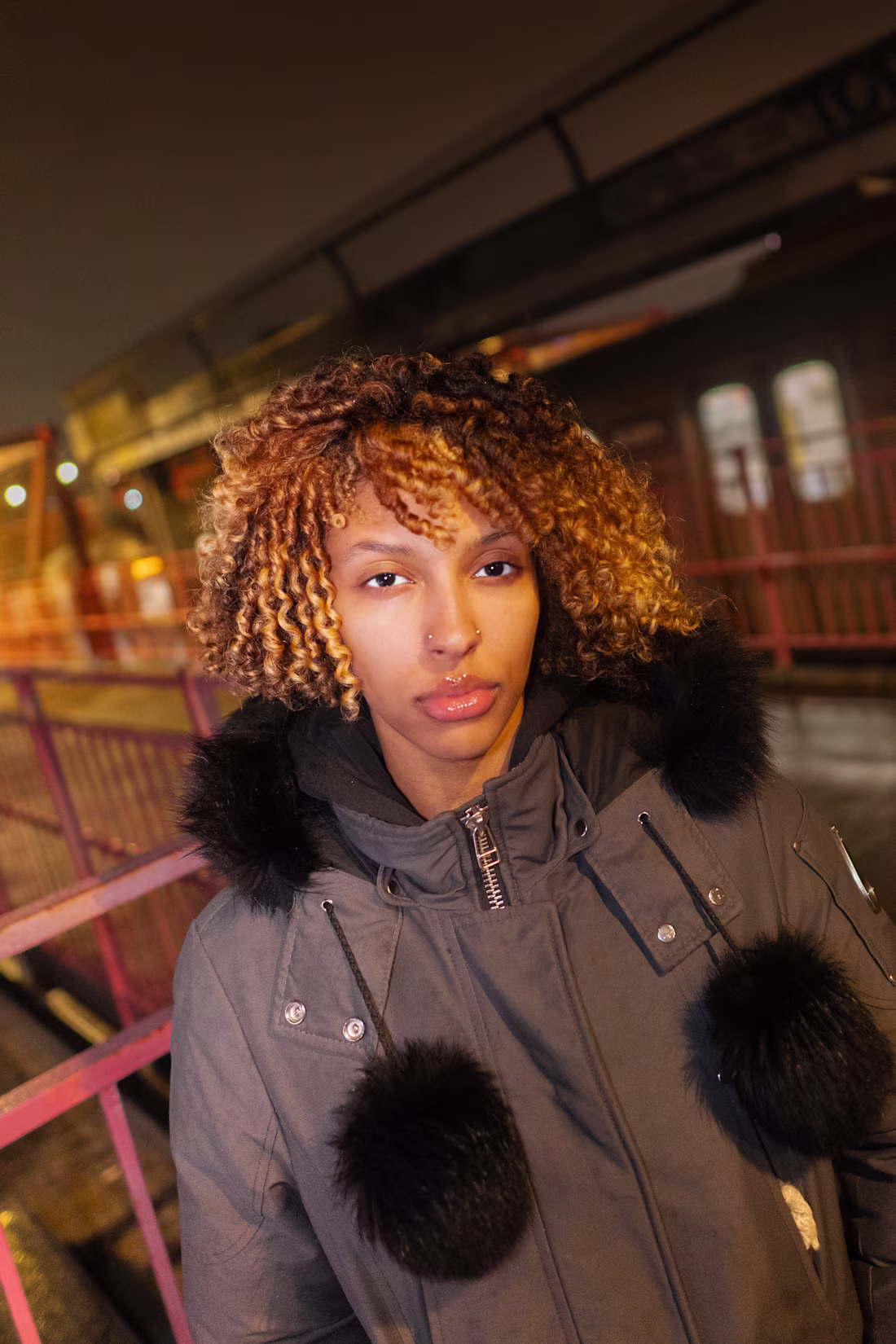 Cover image for Williamsburg Bridge, 2026