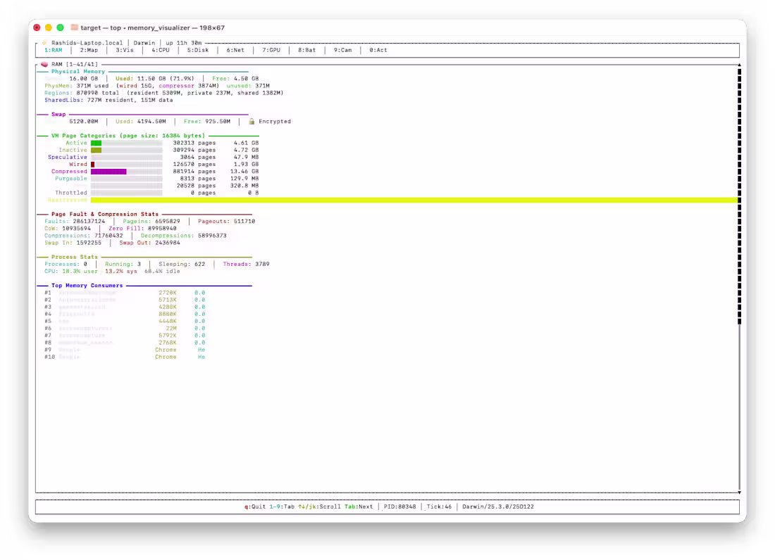 Cover image for Terminaline: a real-time macOS system