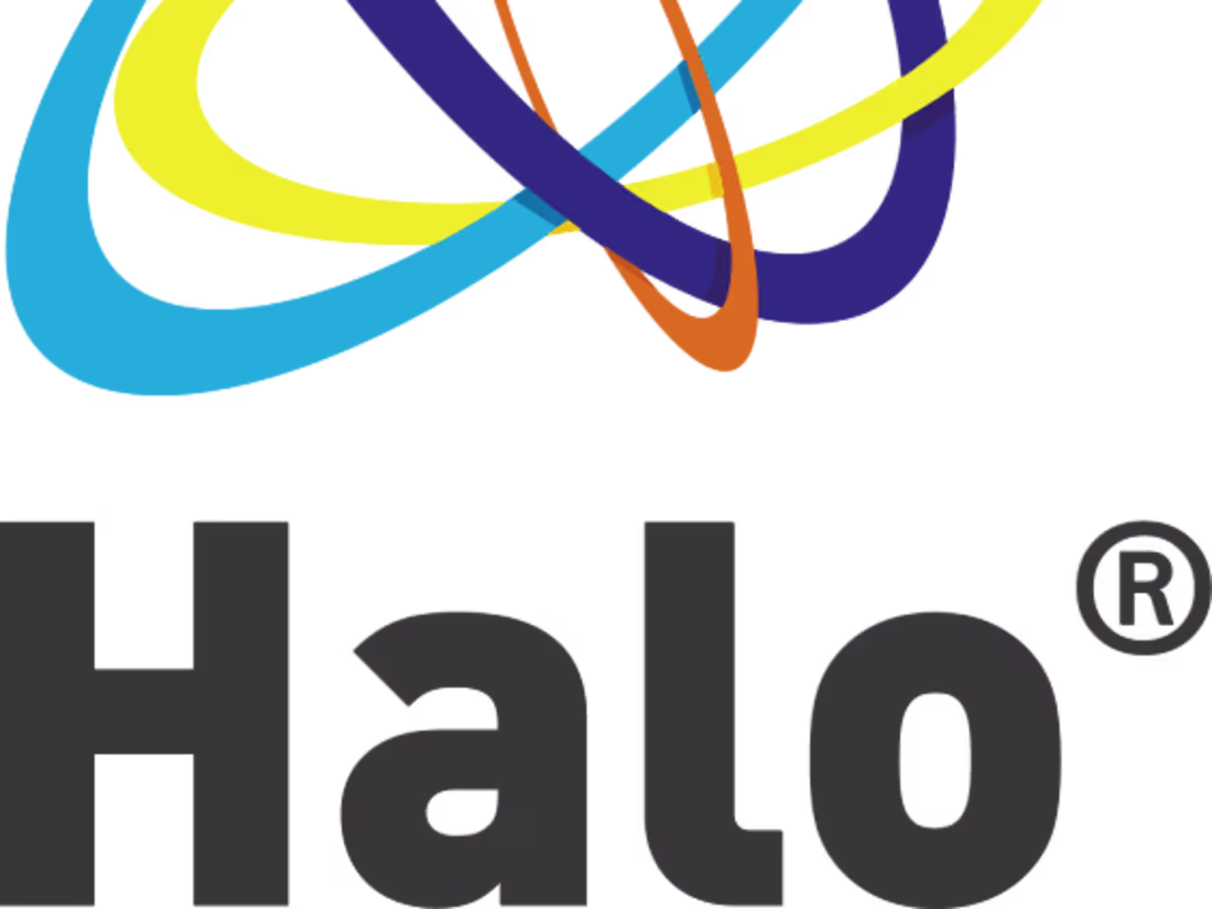 Cover image for Halo Solutions