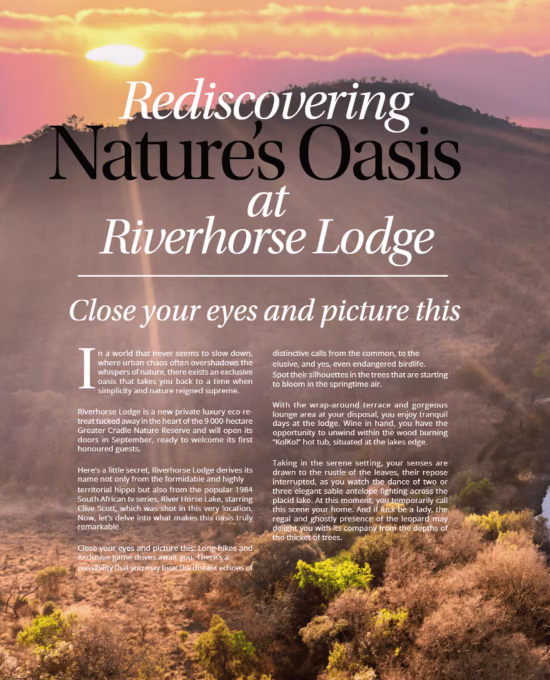 Cover image for Magazine Article