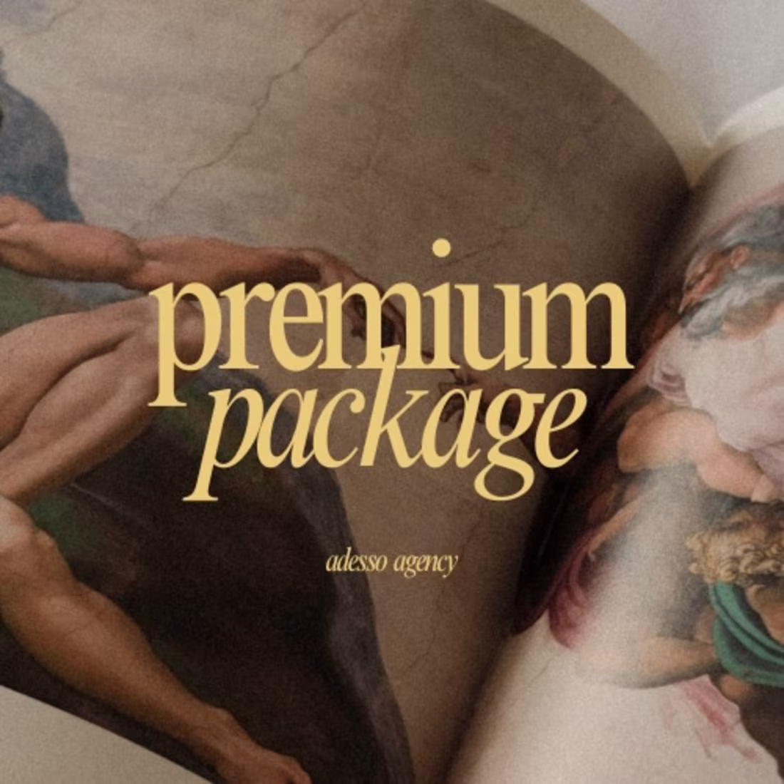 Cover image for Premium Social Media Management Package