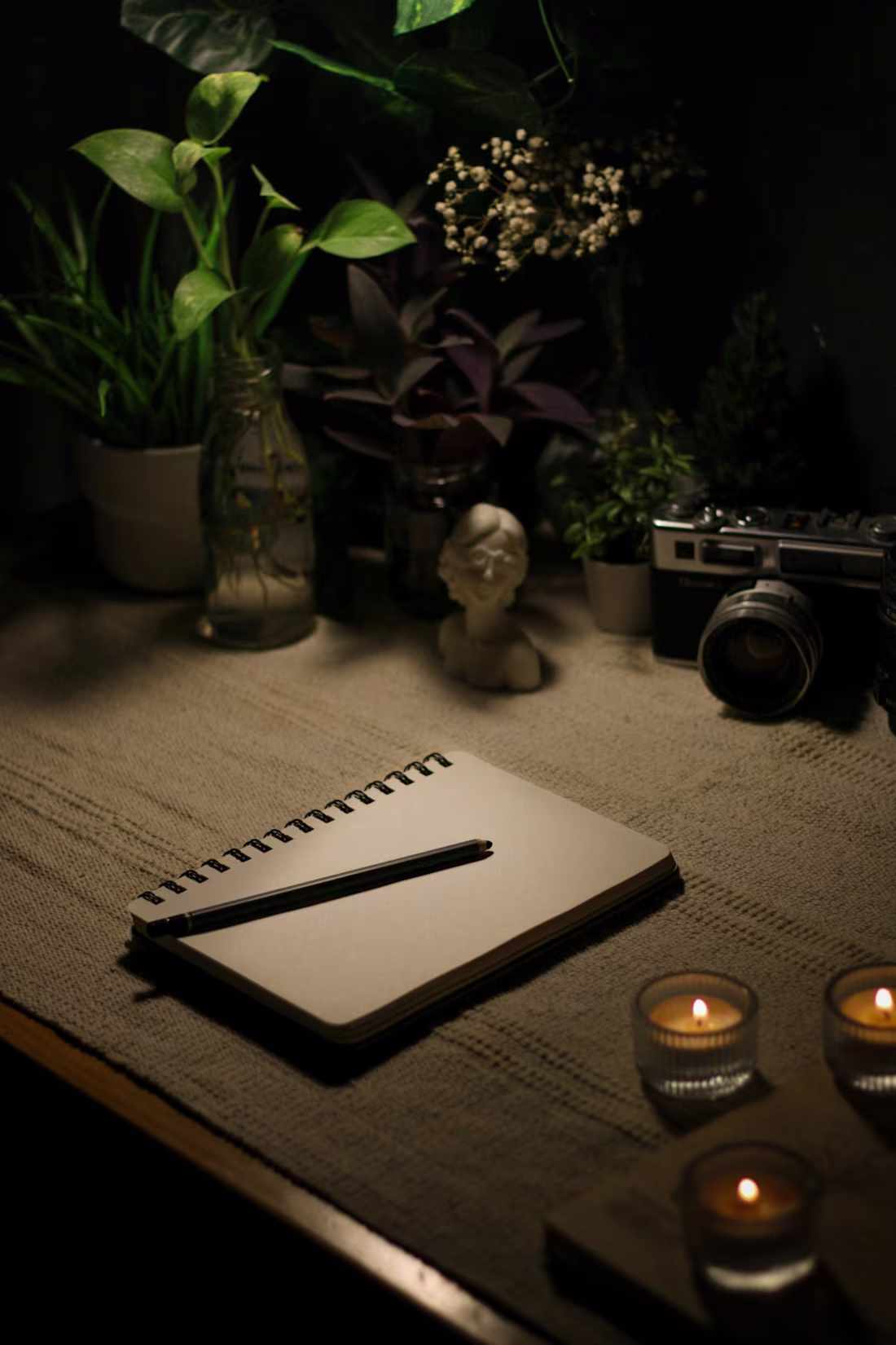 Cover image for In this project, I took