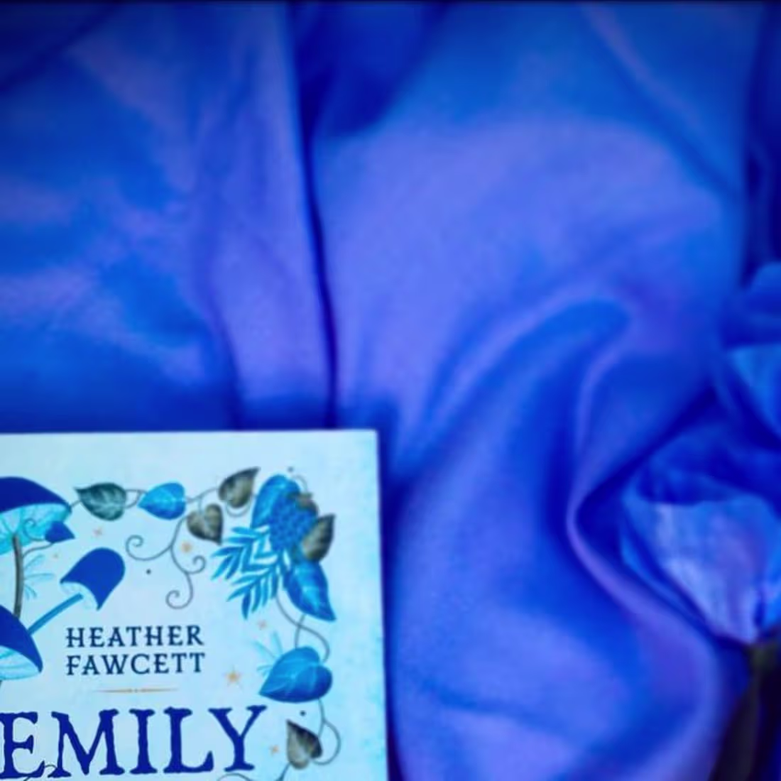 Cover image for Cara Loughlin on Instagram: “Books of 2024: Emily Wilde’s Encyc…