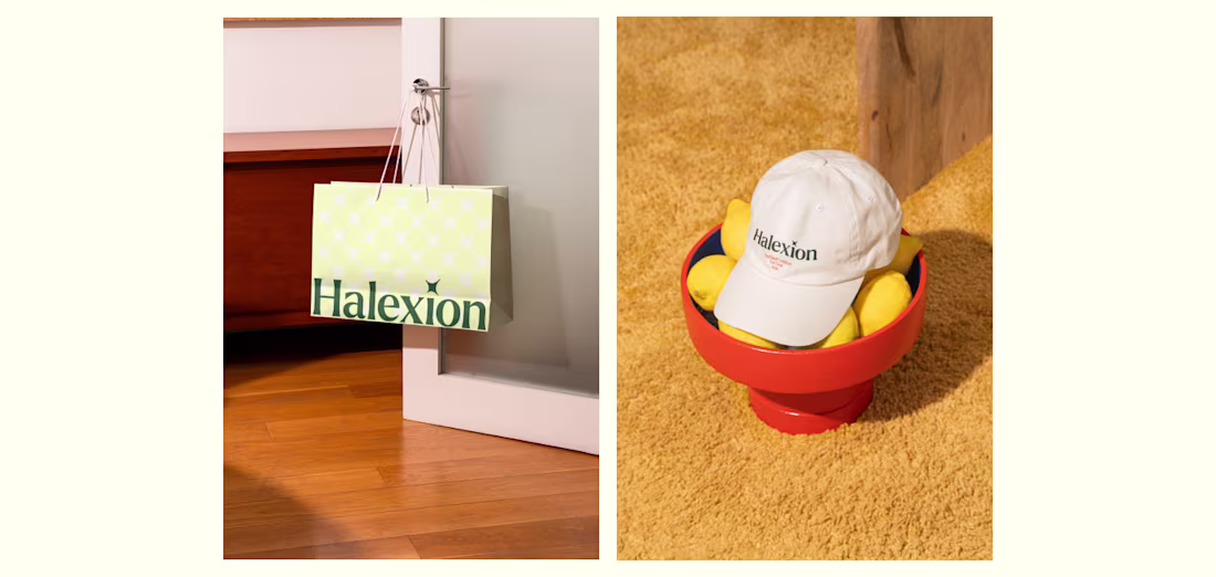 Cover image for Halexion | Brand Identity Design 