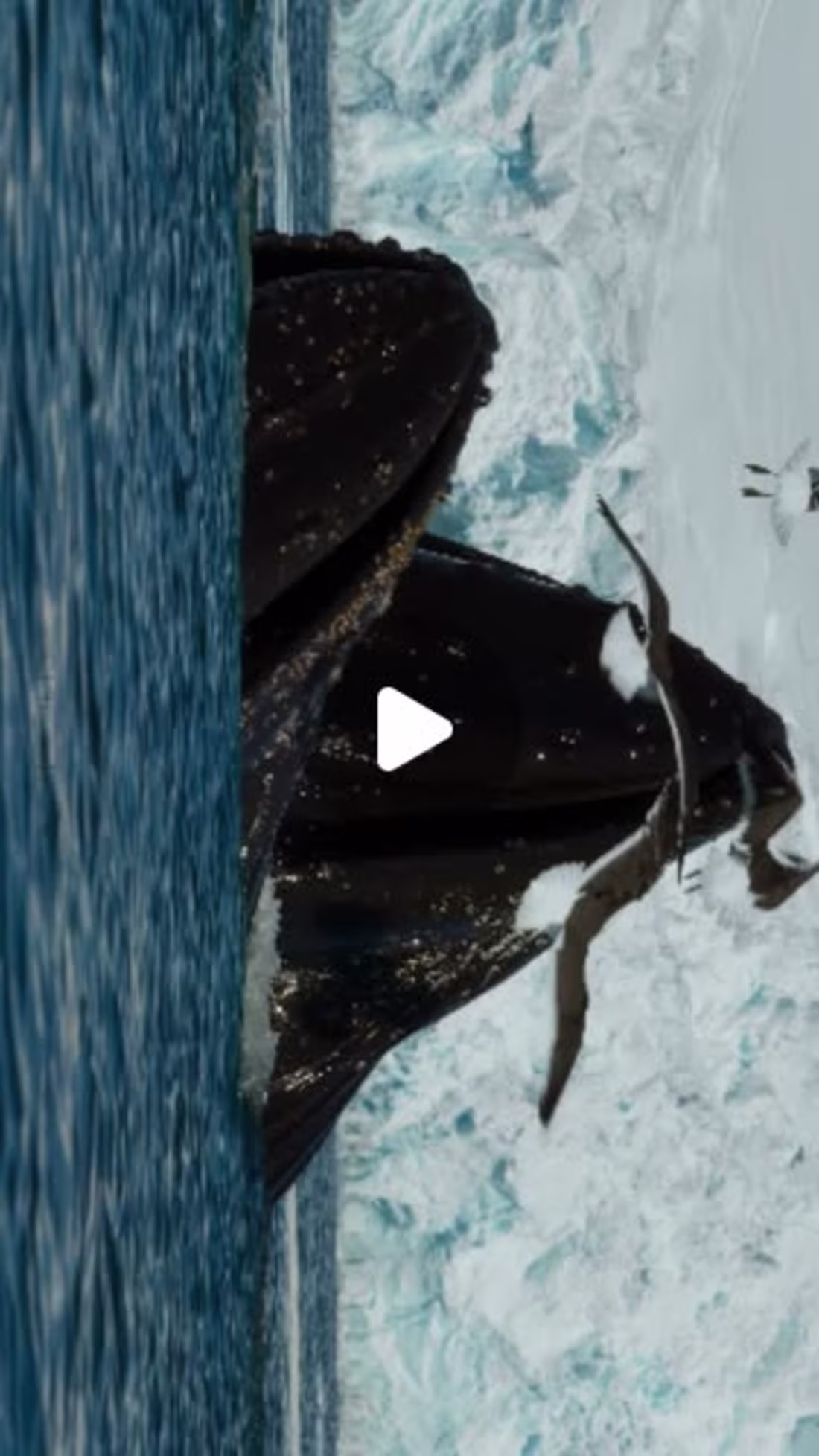 Cover image for Film Reels Edit on Instagram: its kind promotion 