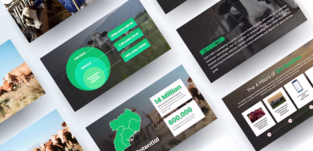 Cover image for NOA’S HERD Strategic Pitch Deck Development