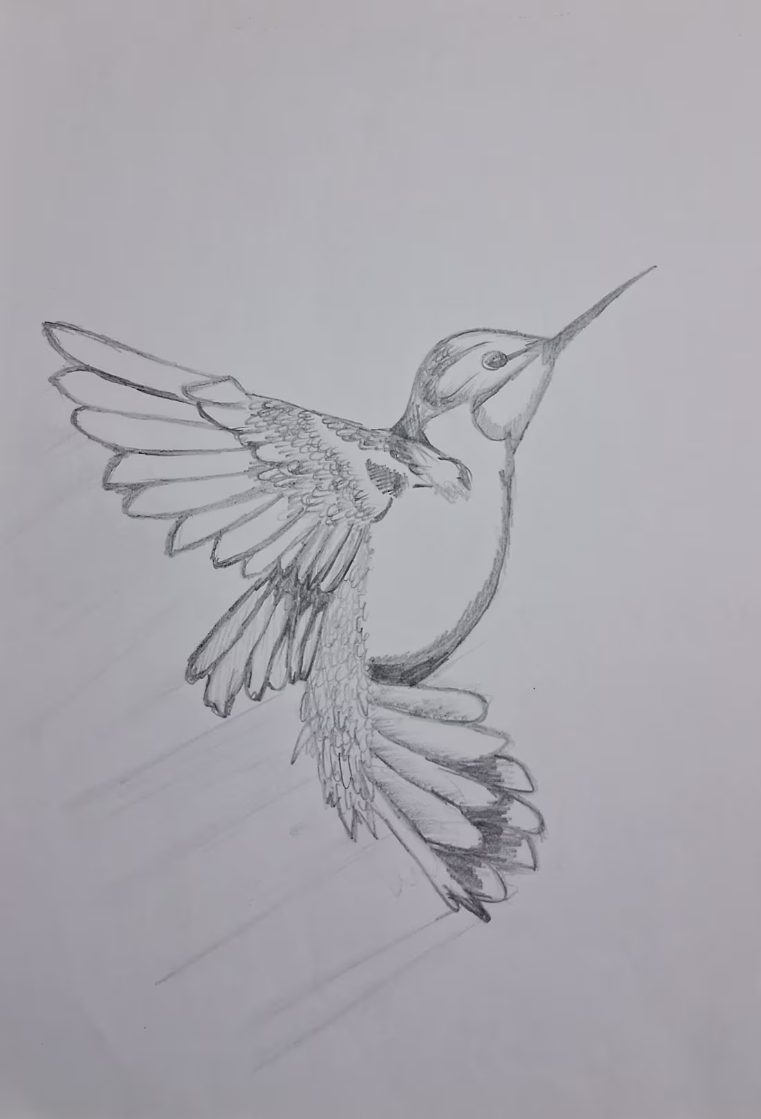 Cover image for Sketch