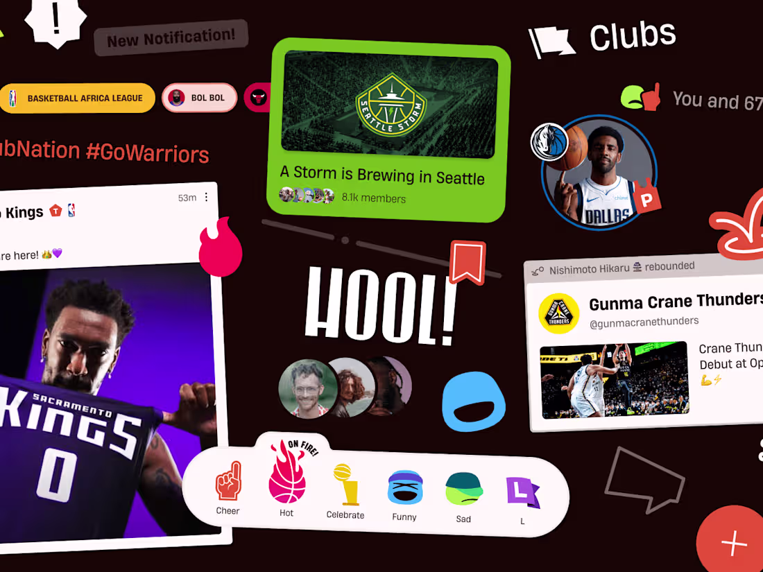 Cover image for HOOL!