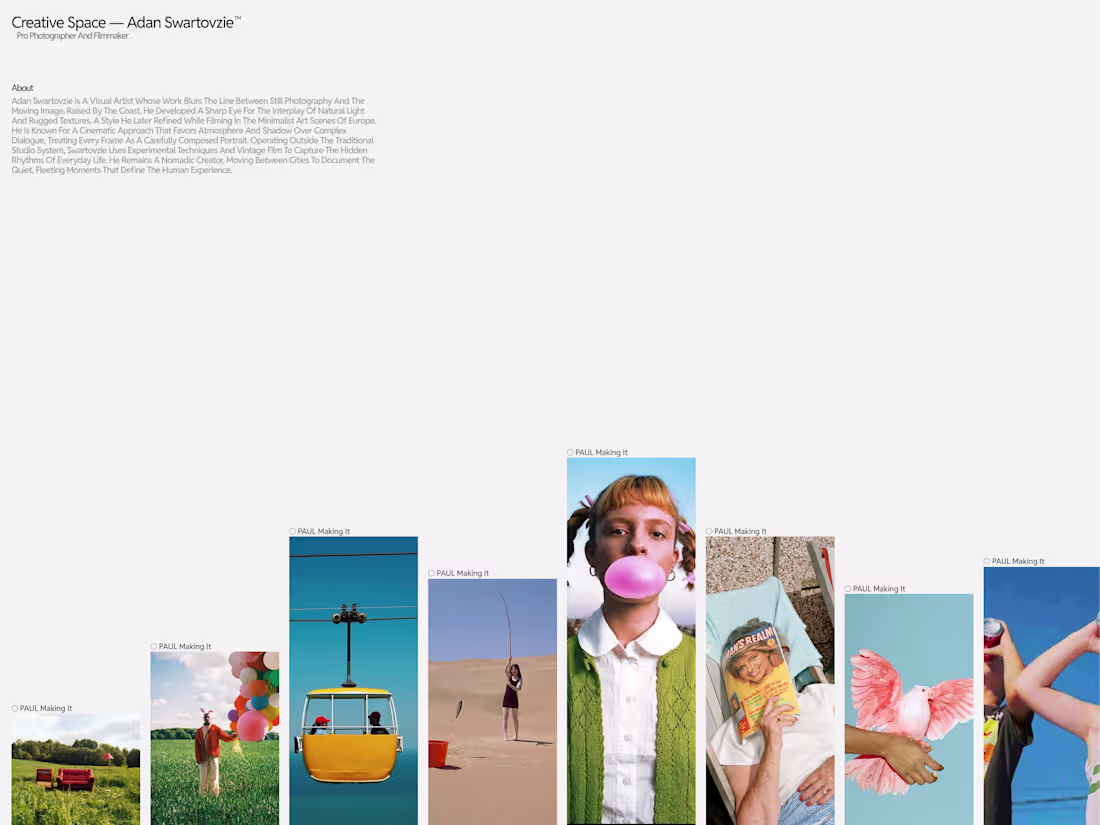 Cover image for Portfolio development for Adan Swartovzie