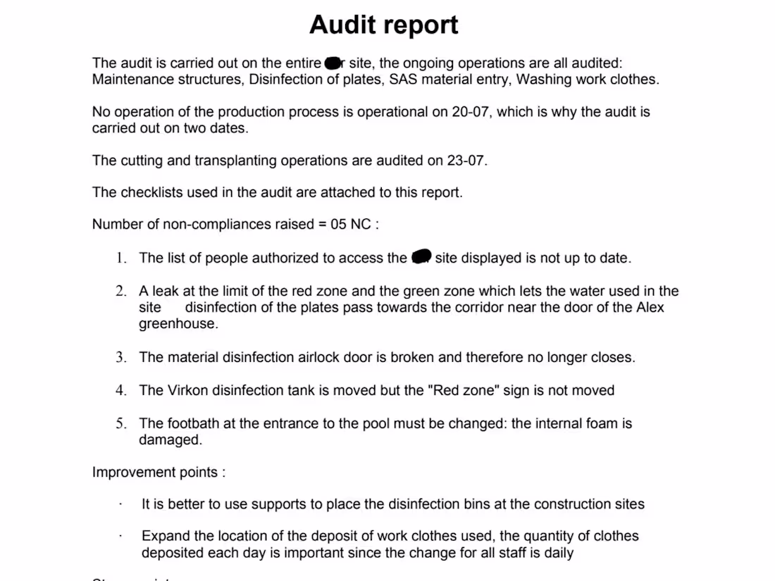 Cover image for Audit Report