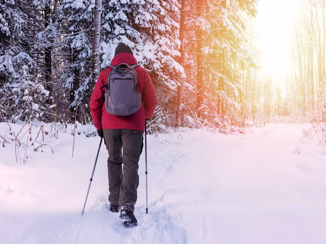 Cover image for Winter Activities Article for Company Intranet