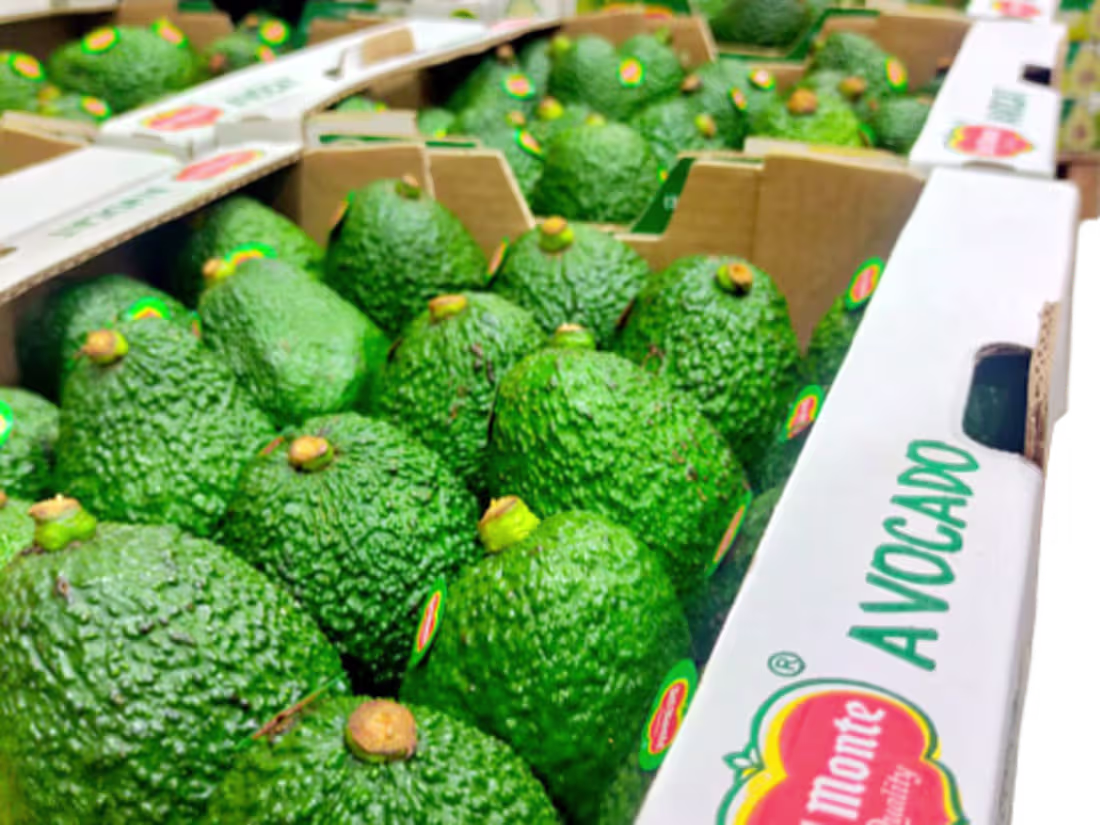 Cover image for Globo´s