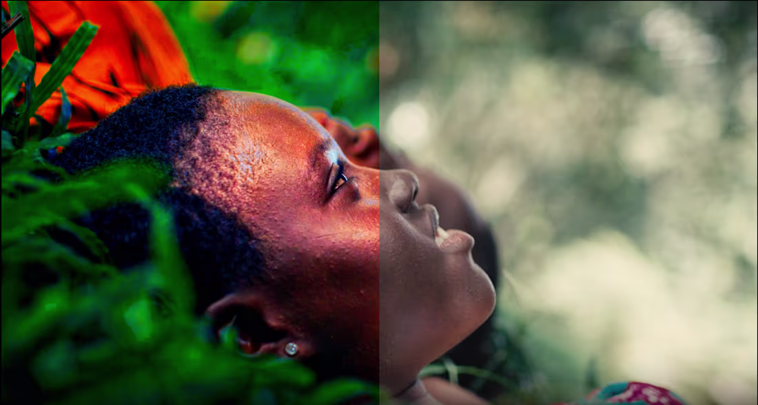Cover image for Professional Color Grading
