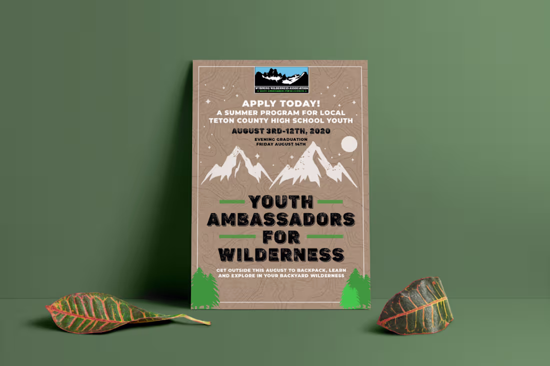 Cover image for Youth Ambassadors for Wilderness - Poster, flyer and social media design