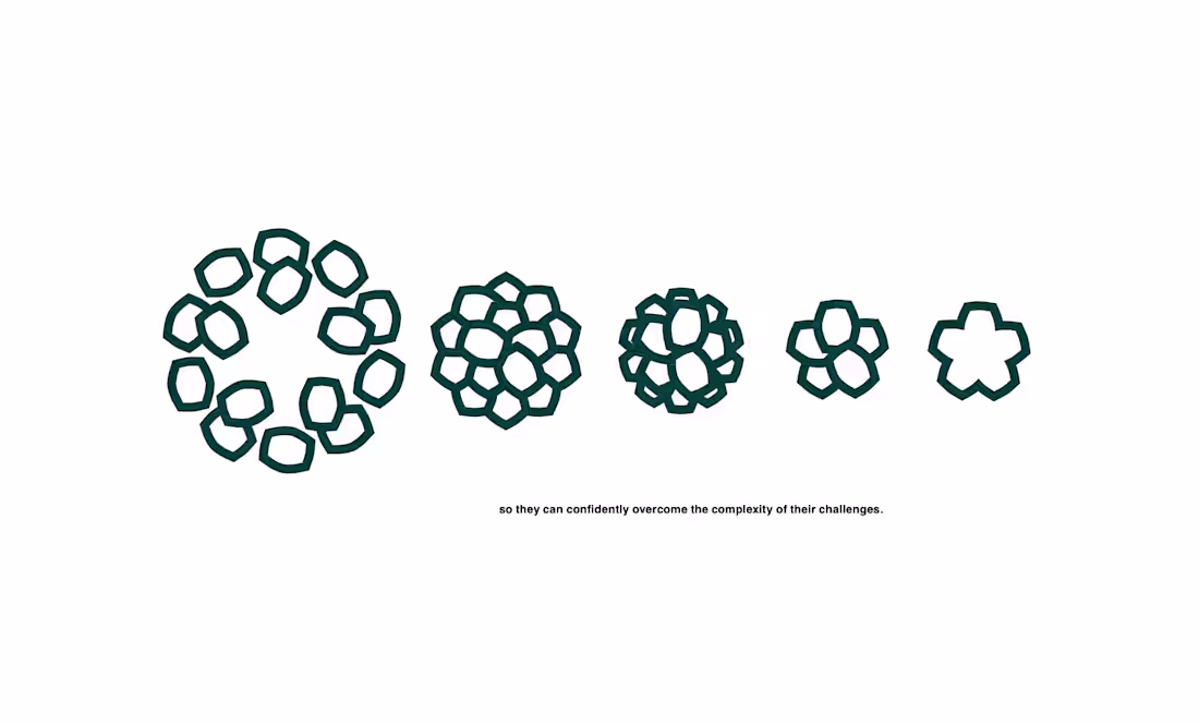 Cover image for Market Repositioning Strategy and Rebranding for pure_solution