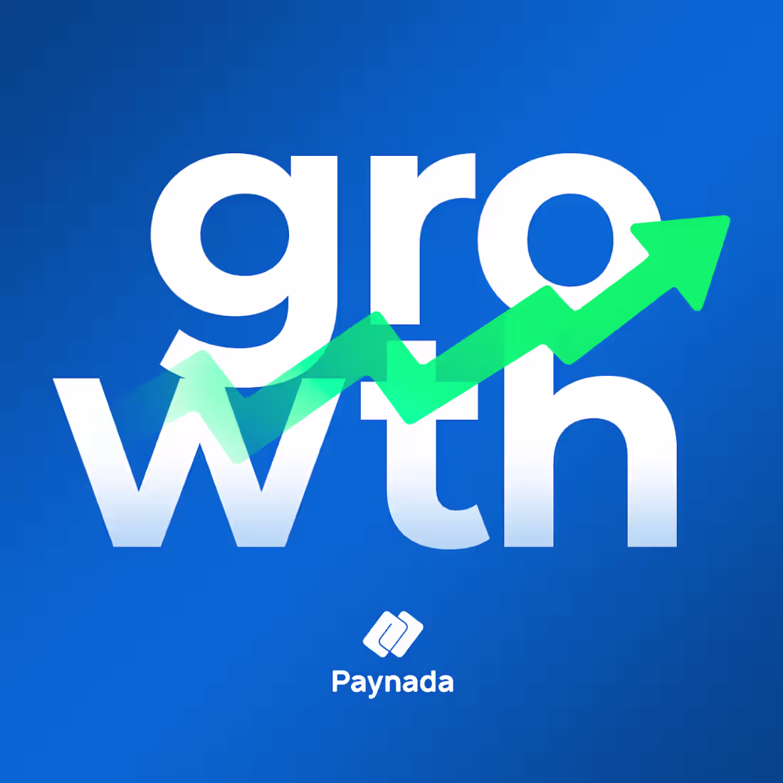 Cover image for Paynada Designs