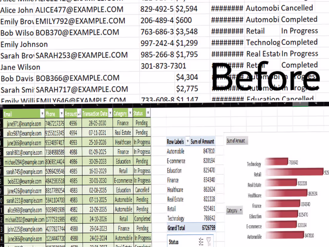 Cover image for  will clean, format, and organize Excel data professionally