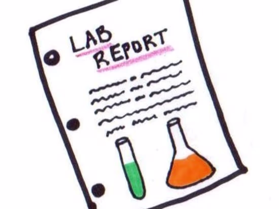 Cover image for Reports/Summaries/Journals for College Courses