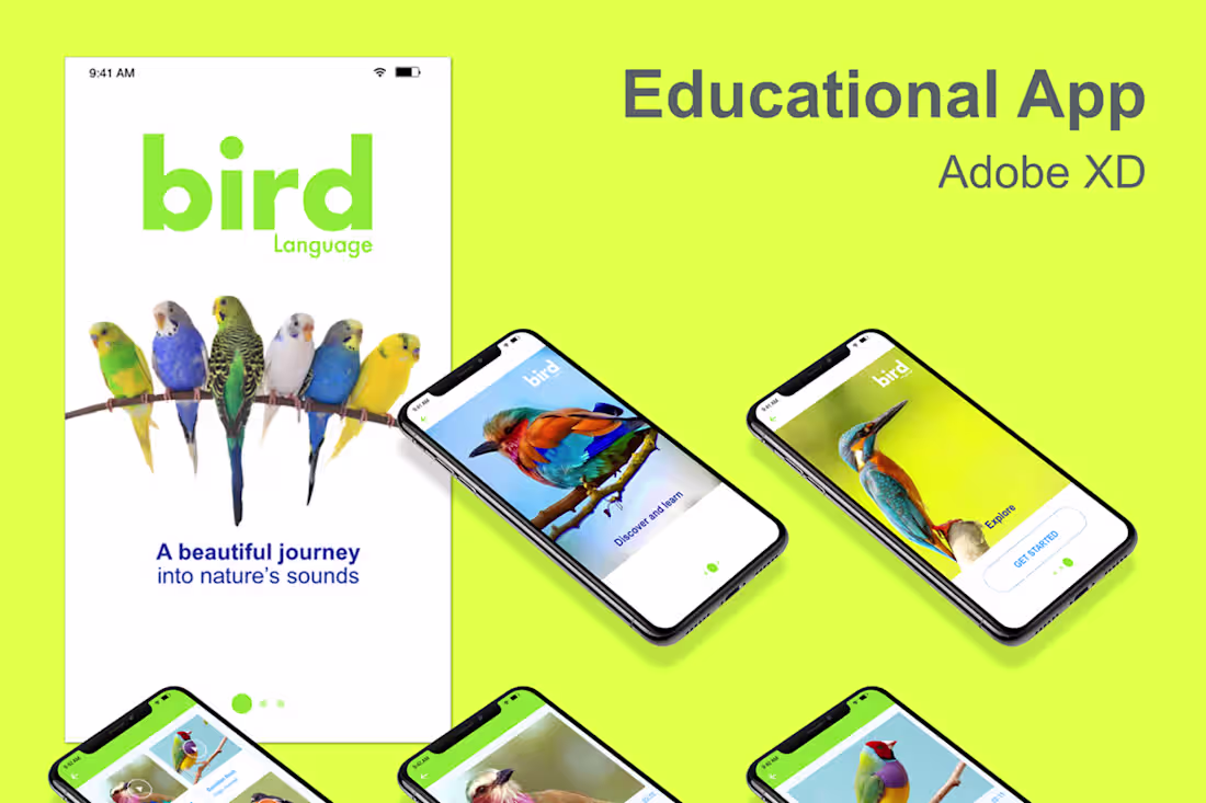 Cover image for Bird Language