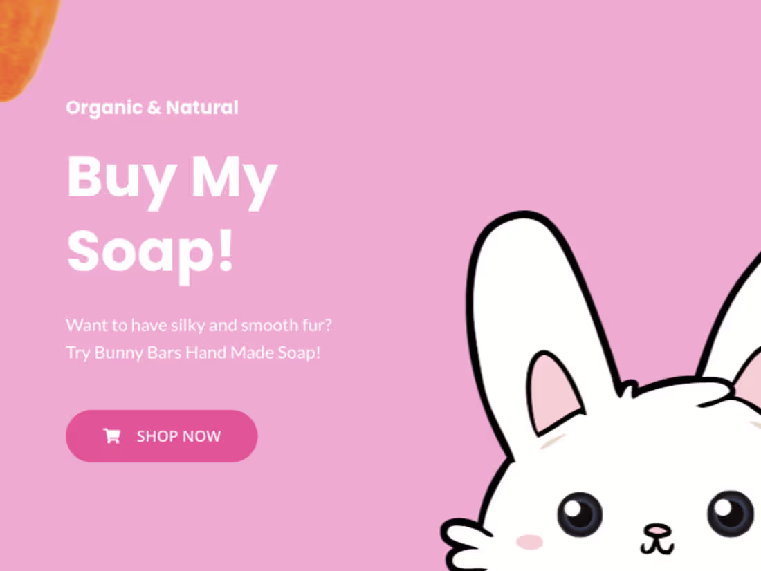 Cover image for Graphic Design For Bunny Bars