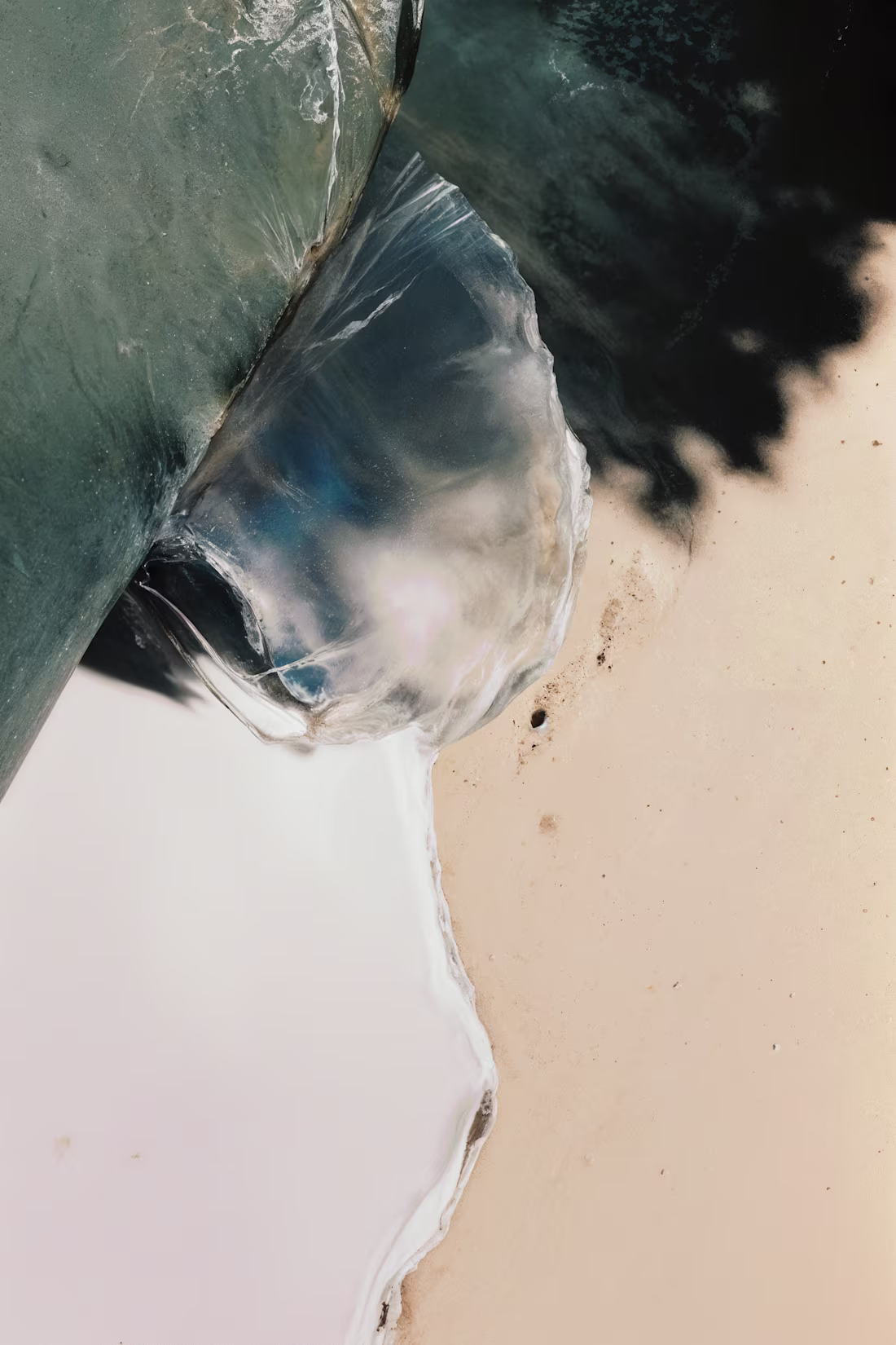 Cover image for Different subject explorations today.Cheers