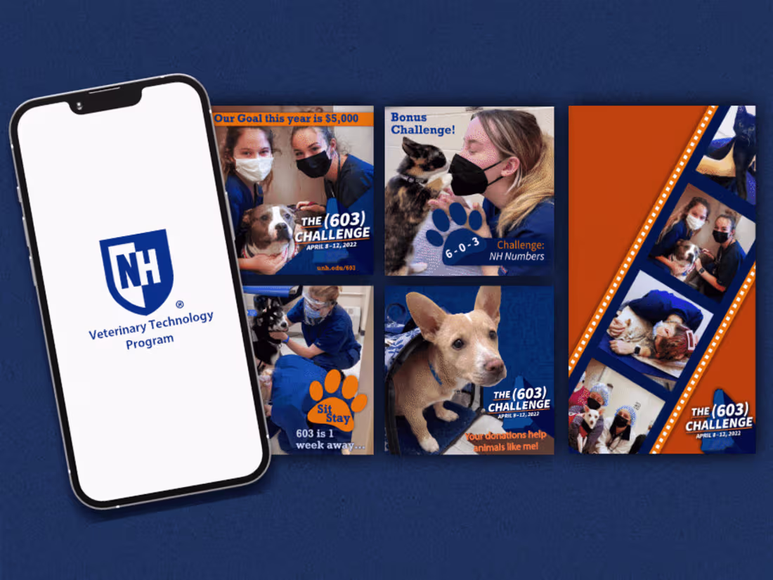 Cover image for Social Media Content