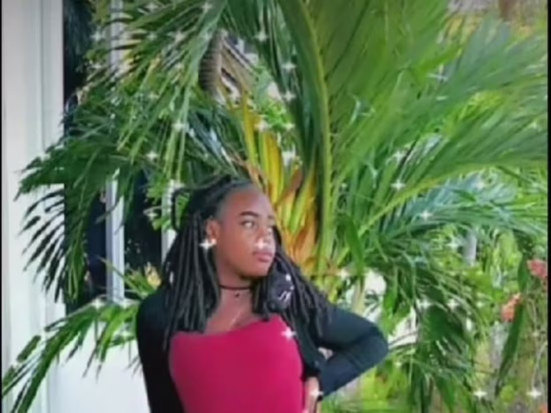 Cover image for Stuck in a tree; Stay in my lane 💚🌴