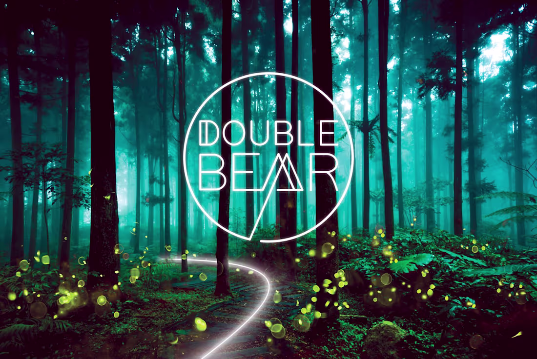 Cover image for DOUBLE BEAR