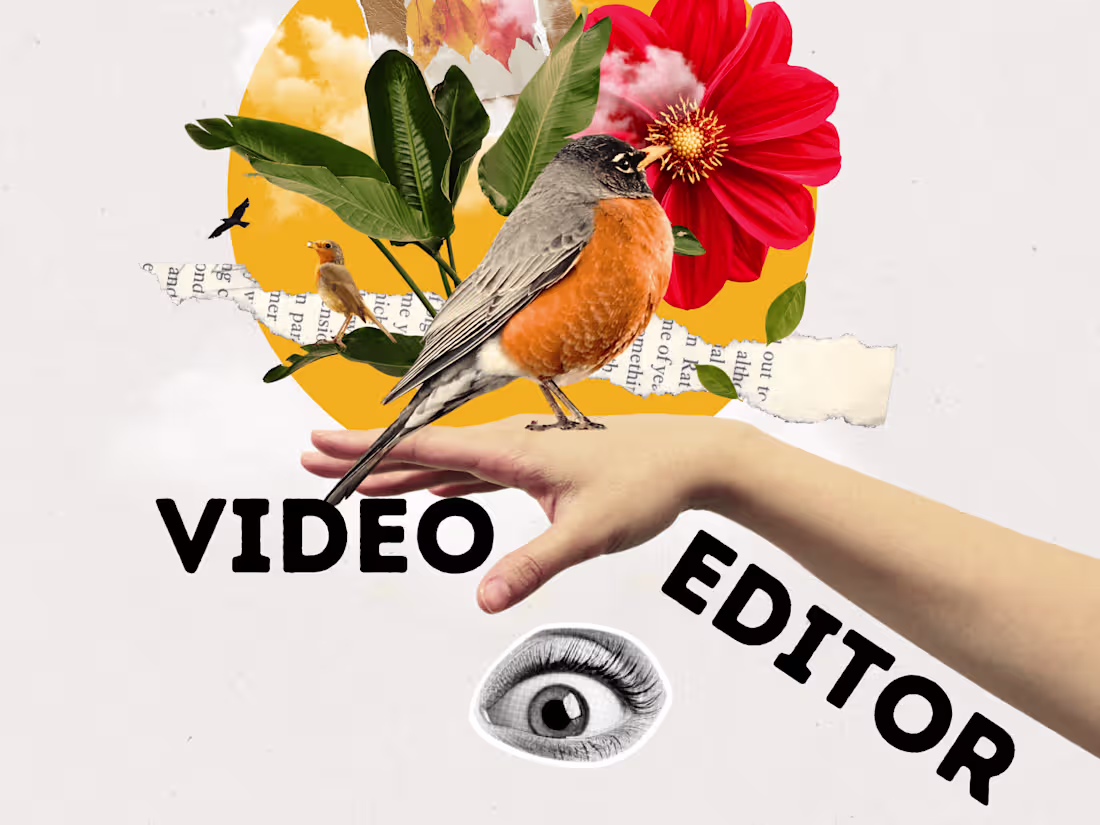 Cover image for Video editing for your internet chanel
