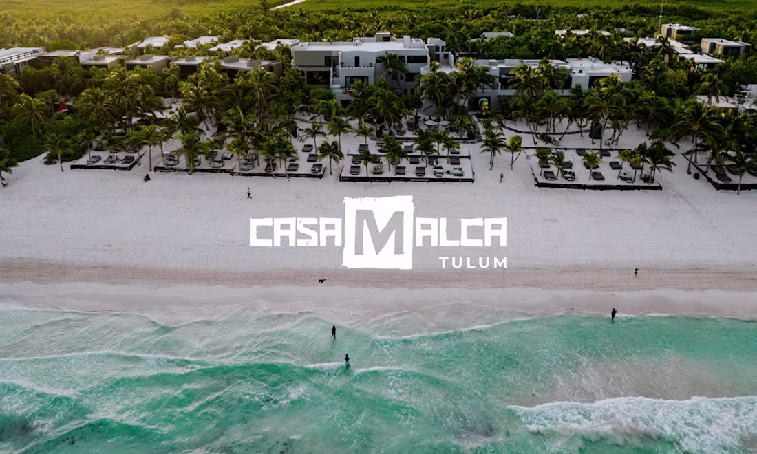 Cover image for Casa Malca's Branding :: Behance