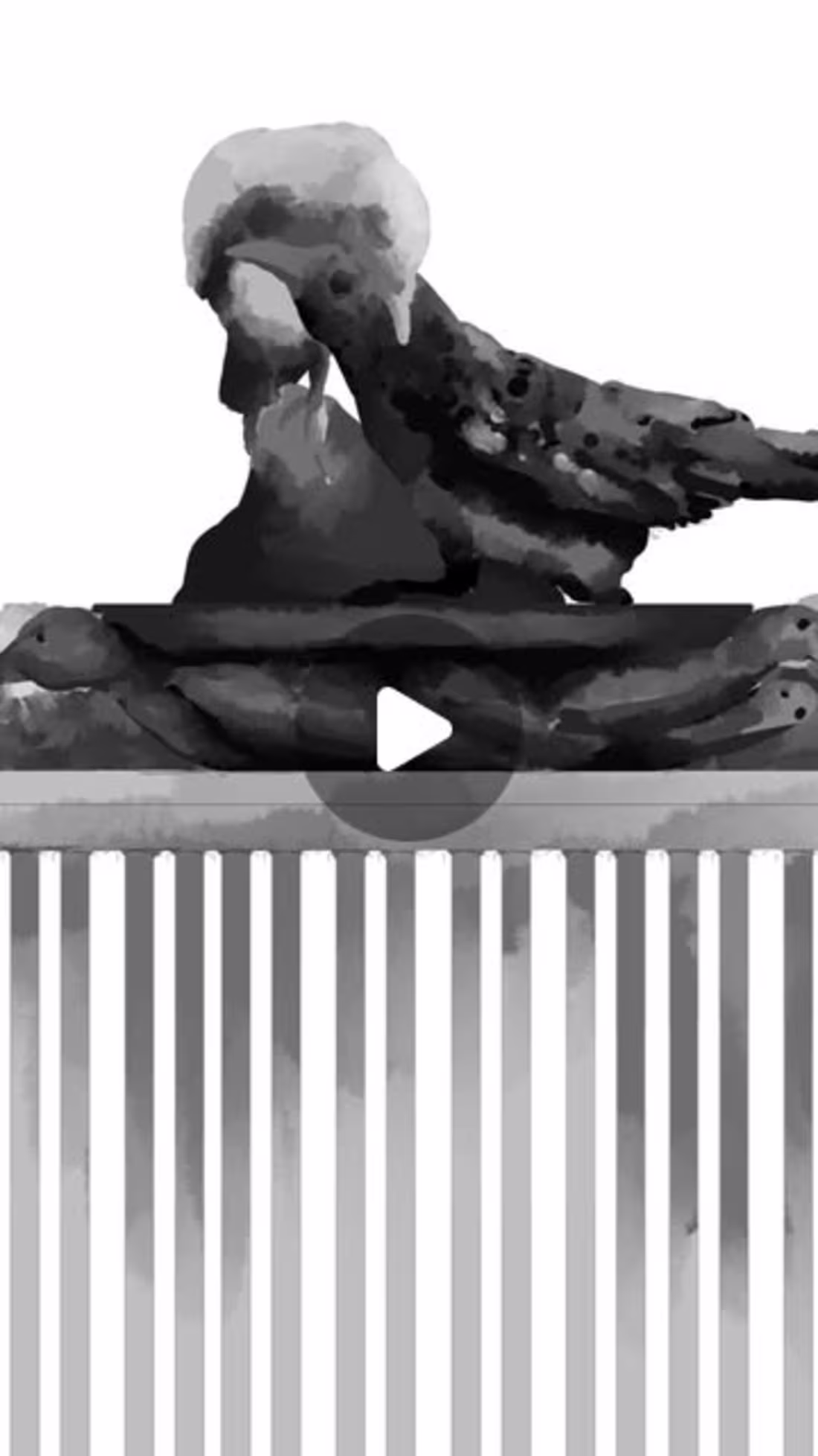 Cover image for Aftermath - story animation