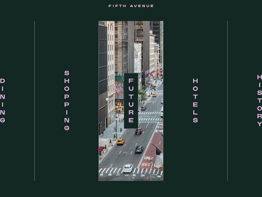 Cover image for 5th Avenue | Fifth Avenue 
