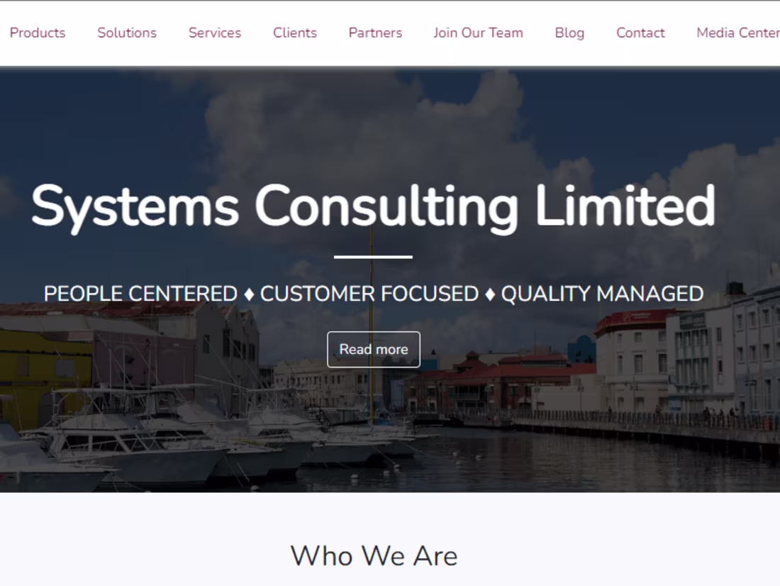 Cover image for System Consulting Ltd Website