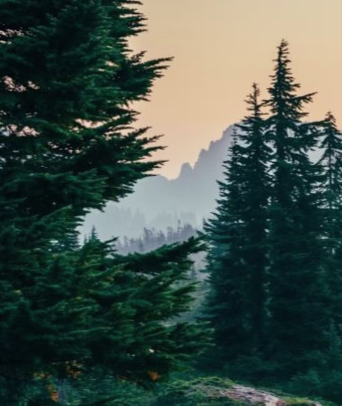 Cover image for Travel Articles