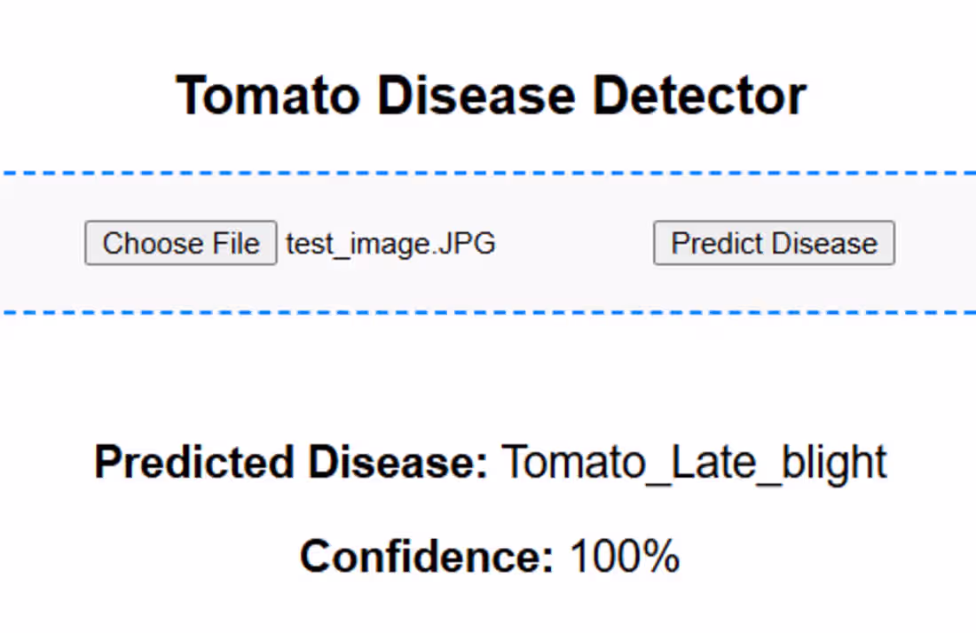 Cover image for Tomato Disease Classifier – AI Crop Health Tool