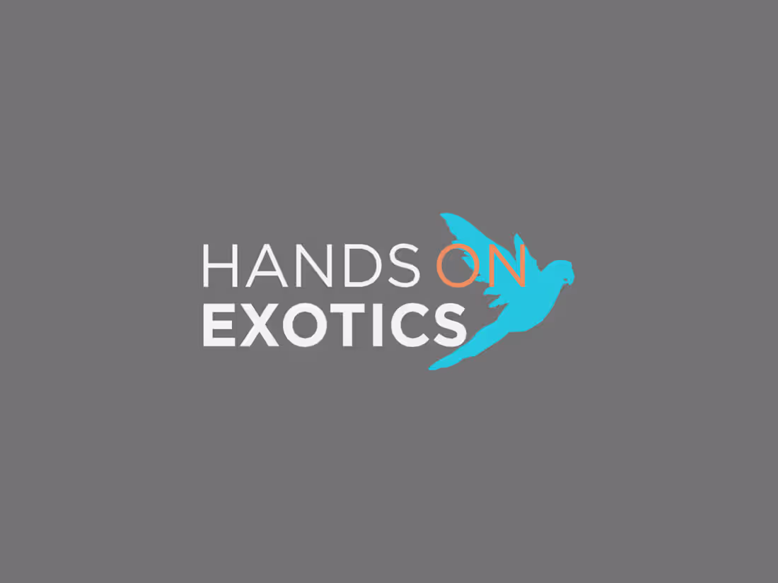 Cover image for Hands On Exotics: A Strategic Social Media Transformation