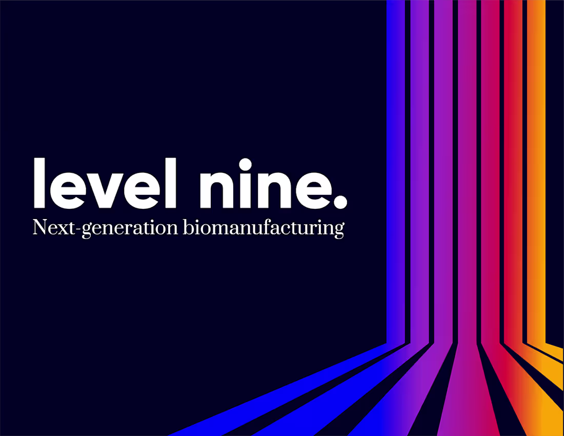Cover image for Level Nine Brand Guideline by Me. :: Behance