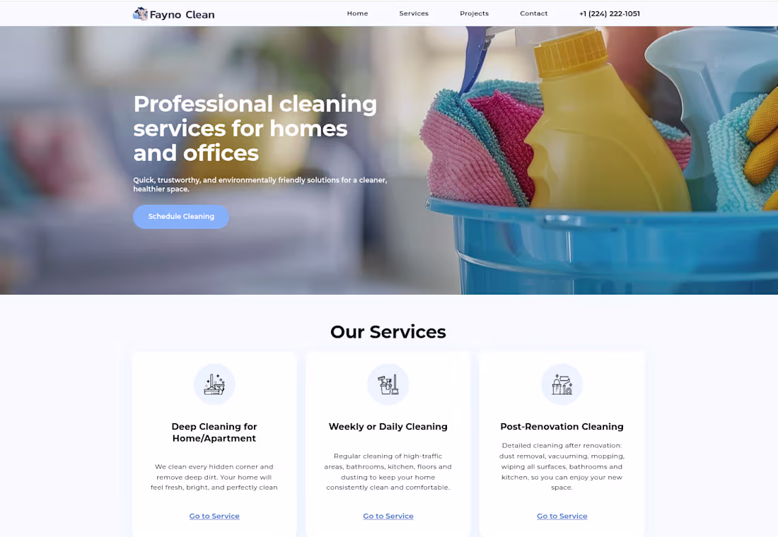 Cover image for Website project for Faynoclean, a