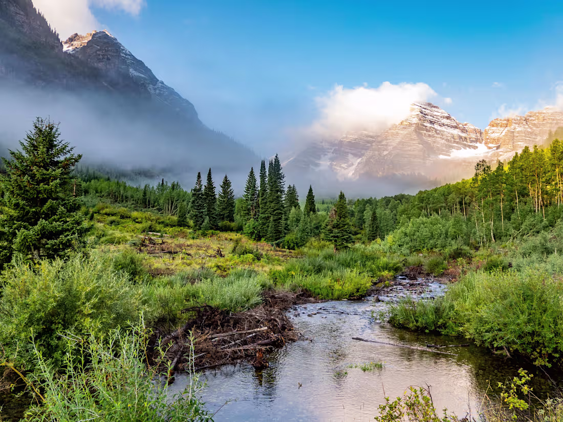 Cover image for AWS Shares the Top Takeaways From MWC