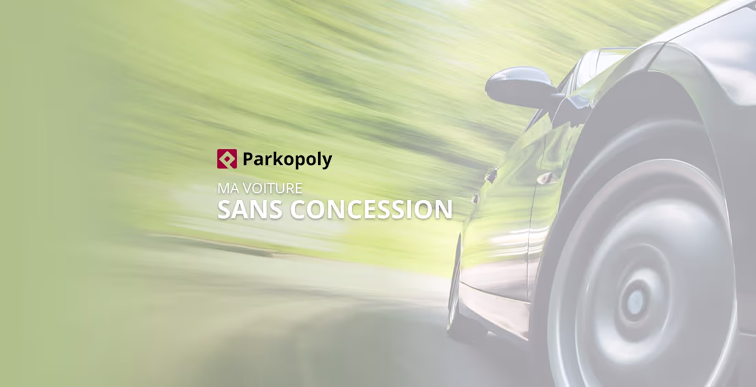 Cover image for Parkopoly visual identity & website redesign