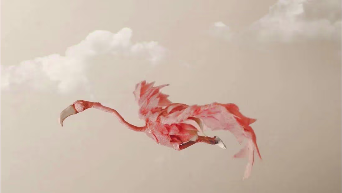 Cover image for unusual sighting - A stop Motion Short Film - YouTube